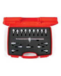 İzeltaş 1113 Lokmalı Allen Uç ve Star Torx Uç Takımı 17 parça